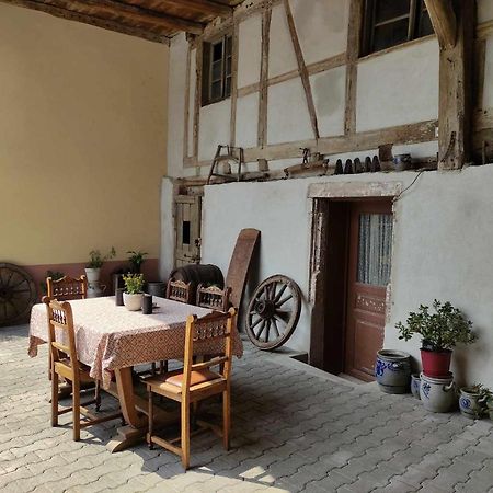 Le Kelsch, Loft Duplex 130M2 Avec Sauna, Proche Vignoble Marlenheim Exterior photo
